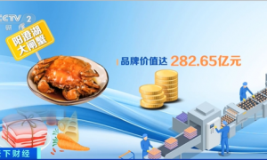 飙涨600%！它，彻底卖爆了！一年卖出800亿元→