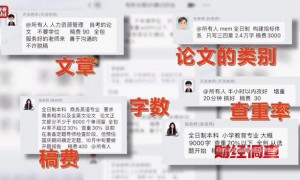 AI 一天 30 篇：央视曝光论文代写造假“流水线”与廉价写手